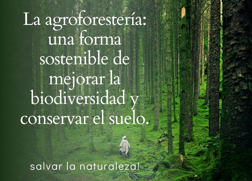  La agroforestería es una técnica agrícola